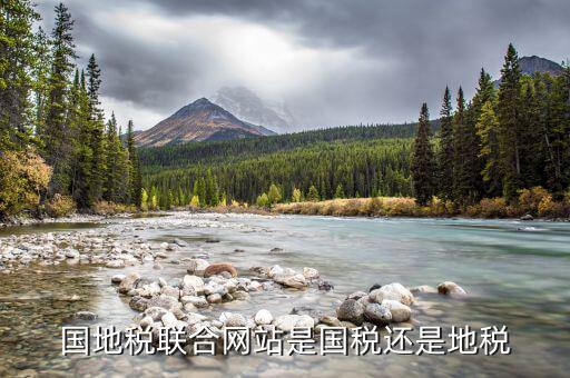 國地稅聯(lián)合是什么，國地稅聯(lián)合稅費申報什么意思