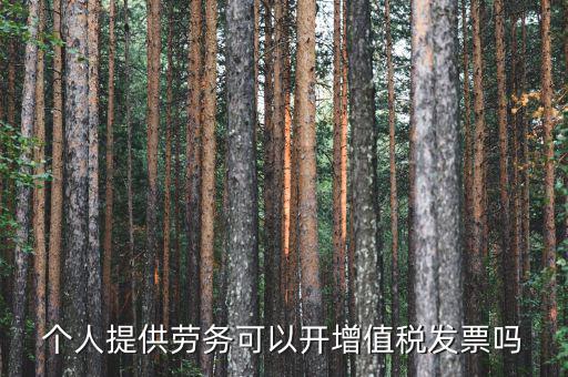 什么是個(gè)人勞務(wù)發(fā)票嗎，個(gè)人開工程勞務(wù)費(fèi)發(fā)票是在工程所在地開具嗎