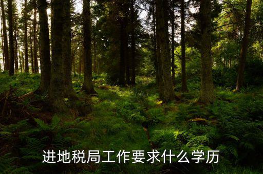 地稅上班要會什么最低學歷，要去地稅局上班都要學些什么啊