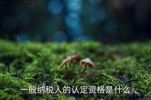 什么是一般納稅人資質(zhì)，一般納稅人的認(rèn)定資格是什么