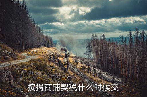 商鋪?zhàn)赓U稅什么時(shí)候交，租賃店鋪一般首次需要繳納幾個(gè)月的租金