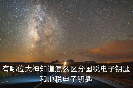 國稅電子鑰匙是什么，稅務(wù)密鑰是什么東西是數(shù)字證書嗎