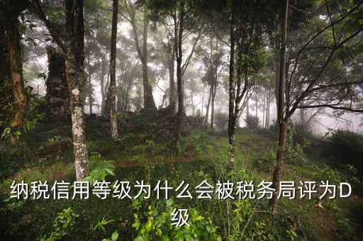 稅務評級有什么用，納稅信用等級為什么會被稅務局評為D級