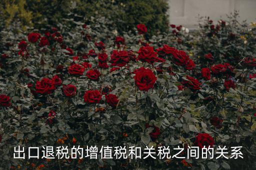 出口關(guān)稅和什么有關(guān)系，出口退稅與進口增值稅有什么關(guān)系