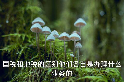 地稅是辦理什么業(yè)務(wù)的，企業(yè)在地稅局主要辦理什么業(yè)務(wù)呢