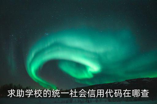 學(xué)校的社會信用代碼是什么東西，求助學(xué)校的統(tǒng)一社會信用代碼在哪查