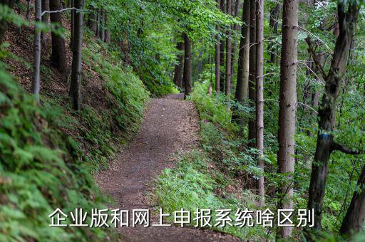 為什么要用單機版報稅，網(wǎng)上報個人所得稅填寫的步驟