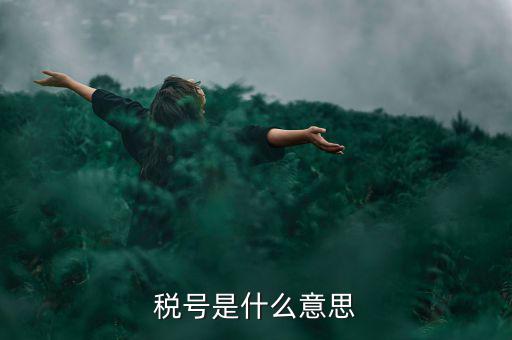 納稅號碼是什么意思，稅號是什么意思