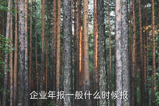 財務(wù)年報什么時候報，企業(yè)財務(wù)會計報告什么時間出具