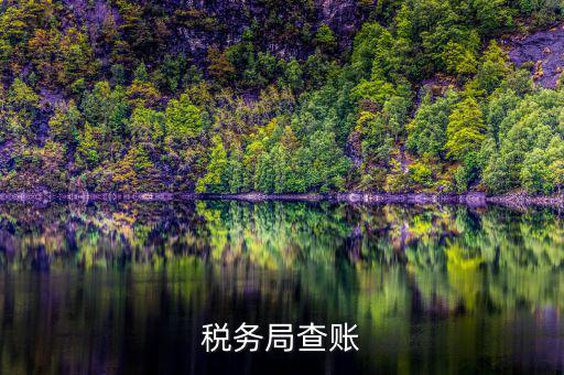 涉稅中介是什么意思，招標(biāo)代理是什么意思