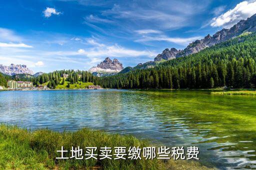 公司買地需要交什么稅，房地產開發(fā)公司買土地要交什么稅
