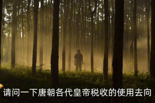 請(qǐng)問一下唐朝各代皇帝稅收的使用去向