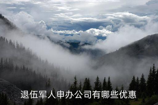 退伍開(kāi)公司有什么優(yōu)惠，退伍軍人申辦公司有哪些優(yōu)惠