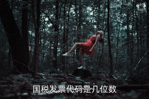 發(fā)票代碼是什么位置，國(guó)稅普票代碼是幾位數(shù)字在什么位置