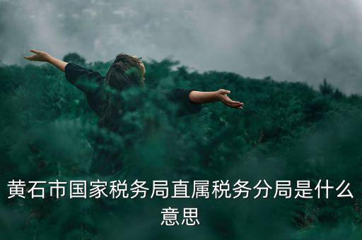 國稅直屬分局是什么局，國稅局是什么單位