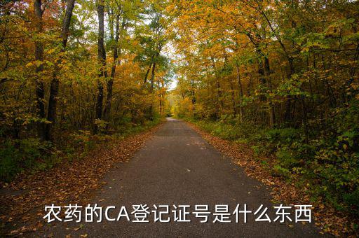 農藥的CA登記證號是什么東西
