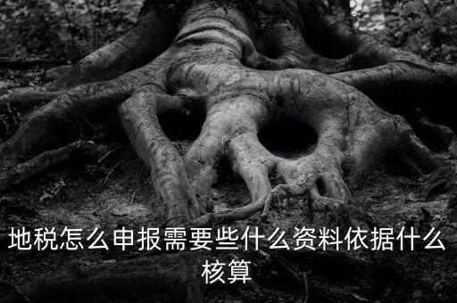 地稅根據什么申報，地稅怎么申報