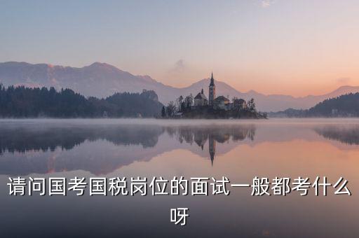 國稅標兵人才考什么，國稅通用能力測試考什么