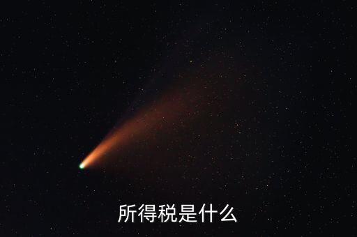 所得稅支出是什么，所得稅是什么