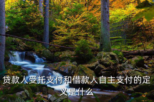 自主支出是什么，自主支出是什么意思求解釋