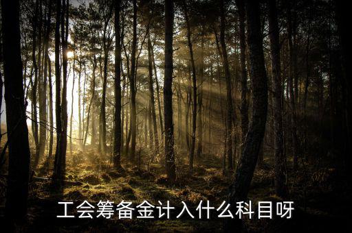 什么是工會(huì)籌備金，工會(huì)籌備金計(jì)入什么科目呀