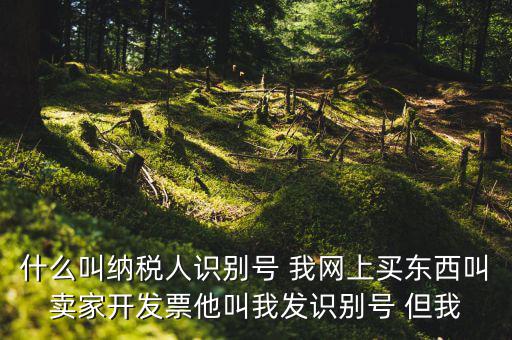 公司納稅識別號是什么意思，納稅人識別碼是什么