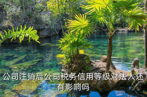 國(guó)稅評(píng)級(jí)有什么影響，納稅評(píng)估的作用有哪些