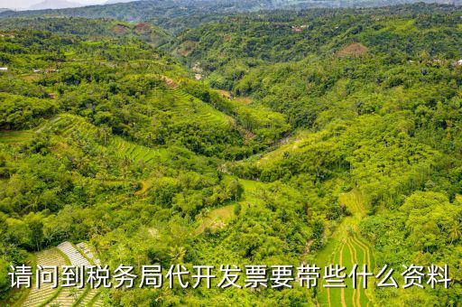 請(qǐng)問(wèn)到稅務(wù)局代開(kāi)發(fā)票要帶些什么資料