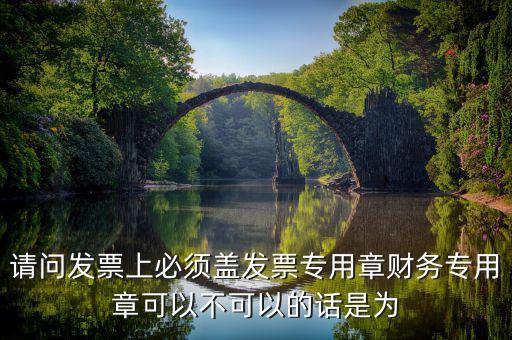 為什么要用發(fā)票專用章，請問發(fā)票上必須蓋發(fā)票專用章財務(wù)專用章可以不可以的話是為
