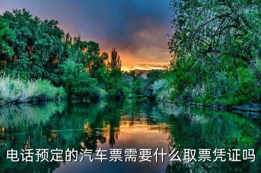 電話取票需要帶什么資料，電話預(yù)定的汽車票需要什么取票憑證嗎