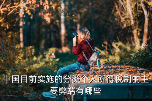 中國目前實(shí)施的分類個(gè)人所得稅制的主要弊端有哪些