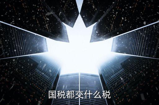 國稅稅款是什么，國稅都交什么稅