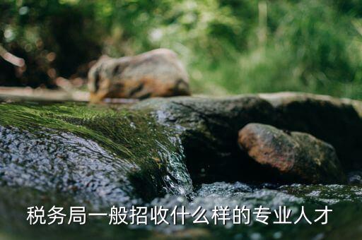 什么專業(yè)可進(jìn)稅務(wù)所，稅務(wù)局一般招收什么樣的專業(yè)人才