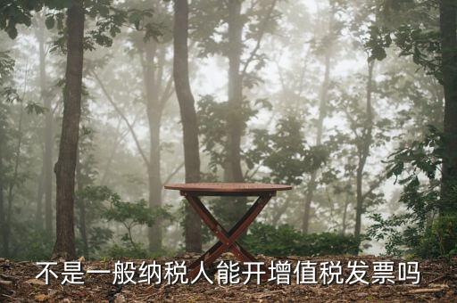 不是一般納稅人能開(kāi)增值稅發(fā)票嗎
