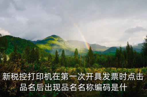 發(fā)票 商品編碼是什么，發(fā)票號碼和發(fā)票代碼是什么我的發(fā)票上只有單據(jù)編碼和貨品編號啊