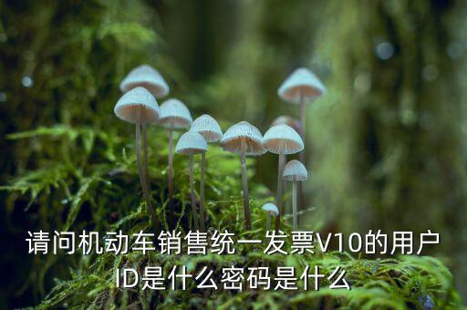 發(fā)票登錄密碼是什么，國稅局發(fā)票軟件里用戶代碼和密碼是什么