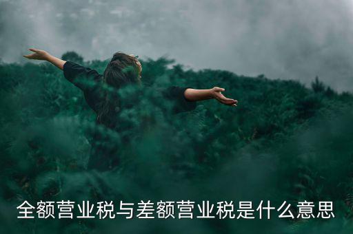 什么叫差額征稅，什么是差額稅
