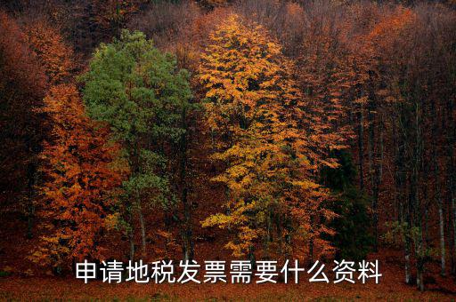 地稅局開(kāi)票需要帶什么，申請(qǐng)地稅發(fā)票需要什么資料