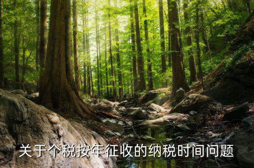 關于個稅按年征收的納稅時間問題