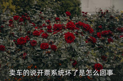 賣車的說開票系統壞了是怎么回事