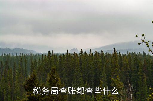 稅務(wù)局查稅一般查什么，請(qǐng)問(wèn)一下老師一般稅務(wù)局人來(lái)查帳一般查什么的