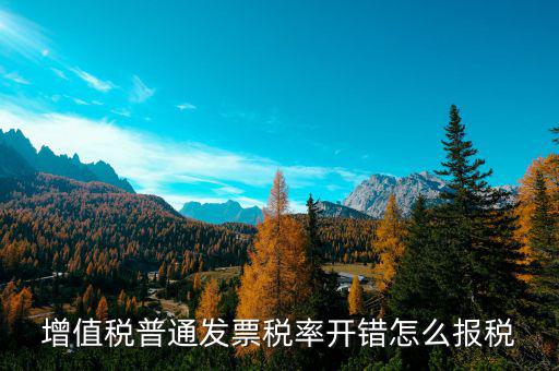 增值稅普通發(fā)票稅率開錯(cuò)怎么報(bào)稅