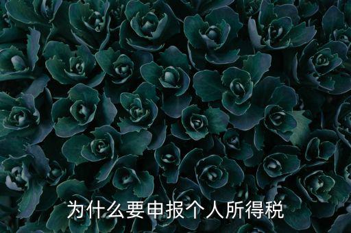 為什么要申報(bào)納稅，為什么公司老是要申報(bào)稅