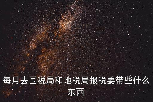 國(guó)稅大廳報(bào)稅需要什么，你好請(qǐng)教你一下如果我去國(guó)稅大廳報(bào)稅的話都需要帶什么東西填
