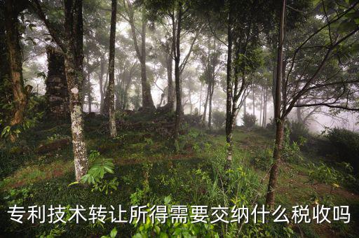 企業(yè)轉(zhuǎn)讓技術交什么稅，技術入股股權轉(zhuǎn)讓需要交什么稅