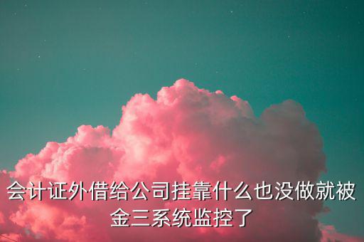 會(huì)計(jì)證外借給公司掛靠什么也沒做就被金三系統(tǒng)監(jiān)控了
