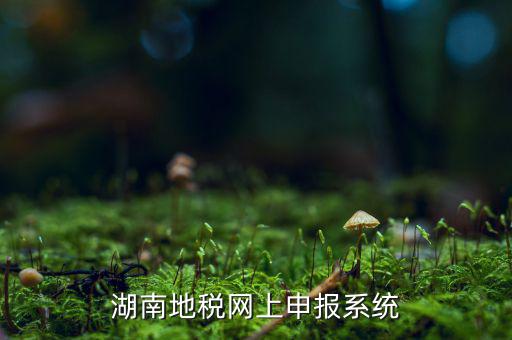 湖南省的地稅報(bào)稅軟件是什么，湖南地稅網(wǎng)上申報(bào)系統(tǒng)
