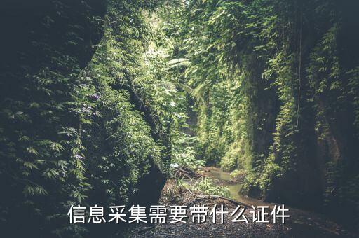 實名信息采集帶什么東西，去銀行辦理對公信息采集表需要帶哪些東西