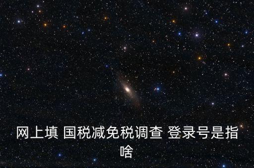 網上填 國稅減免稅調查 登錄號是指啥