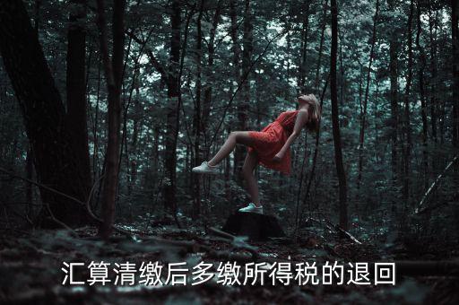 匯算清繳多繳稅款什么時(shí)候退，企業(yè)所得稅匯算清繳退款什么時(shí)候到賬